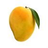 indian alphonso mango